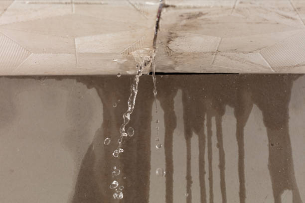 Professional Flood Damage Cleanup technician working in Morgantown, MS